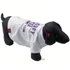 Rodney T-Shirt wit