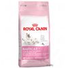 Royal Canin Babycat 34