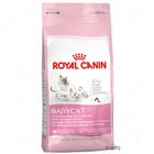 Royal Canin Babycat 34