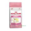 Royal Canin Babycat 34