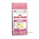 Royal Canin Babycat 34