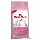 Royal Canin Babycat 34