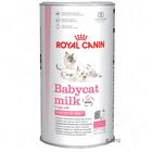 Royal Canin Babycat Milk