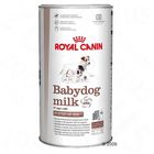Royal Canin Babydog milk