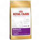 Royal Canin Bichón Maltes 24 Adult
