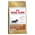 Royal Canin Breed Bassotto 30 Junior