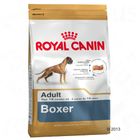Royal Canin Breed Boxer Adult