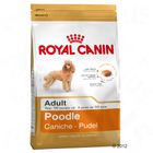 Royal Canin Breed Caniche Adult