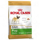 Royal Canin Breed Carlino Adult