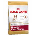 Royal Canin Breed Cavalier King Charles Junior pour chiot