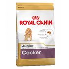 Royal Canin Breed Cocker Junior