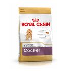 Royal Canin Breed Cocker Junior