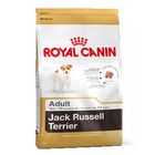 Royal Canin Breed Jack Russell