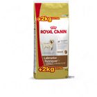 Royal Canin Breed 12kg + 2kg Free!