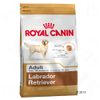 Royal Canin Breed Labrador Retriever Adult