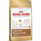 Royal Canin Breed Labrador Retriever 30 Dog Food