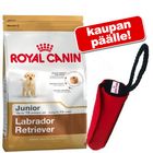 Royal Canin Breed -pienpakkaus + dummy kaupan päälle!