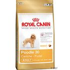 Royal Canin Breed poedel 30