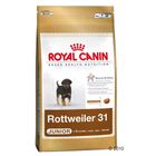 Royal Canin Breed Rottweiler 31 Junior