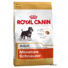 Royal Canin Breed Schnauzer Nain 25 Adult pour chien