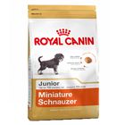 Royal Canin Breed Schnauzer Nain Junior pour chiot