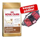 Royal Canin Breed -suurpakkaus + vyölaukku kaupan päälle!