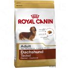 Royal Canin Breed Teckel Adult