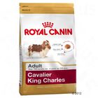 Royal Canin Cavalier King Charles Adult