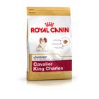 Royal Canin Cavalier King Charles Junior