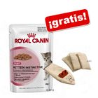 Royal Canin en bolsitas 6 x 85 g + Juguete Wellness ¡gratis!