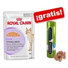 Royal Canin en bolsitas 6 x 85 g + snacks Cosma ¡gratis!