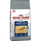 Royal Canin Energy 4300 Hundefutter