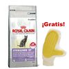 ¡Royal Canin Feline 10 kg + guante para el pelo gratis!