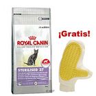 ¡Royal Canin Feline 10 kg + guante para el pelo gratis!