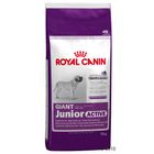 Royal Canin Giant Junior Active