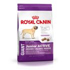 Royal Canin Giant Junior Active
