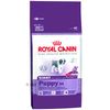 Royal Canin Giant Puppy 34