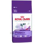 Royal Canin Giant Puppy 34