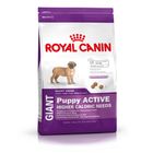 Royal Canin Giant Puppy Active