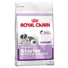 Royal Canin Giant Starter Mother & Babydog