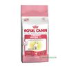 Royal Canin Kitten 36