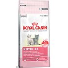 Royal Canin Kitten 36