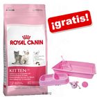 Royal Canin Kitten 10 kg + Set de iniciación ¡gratis!