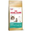 Royal Canin Kitten Maine Coon 36