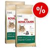 Royal Canin Maine Coon 31