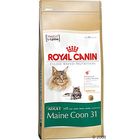 Royal Canin Maine Coon Adult