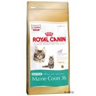 Royal Canin Maine Coon Kitten