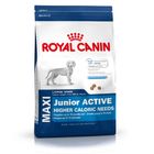 Royal Canin Maxi Junior Active