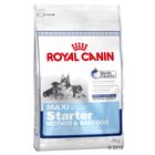 Royal Canin Maxi Starter pour chien