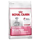 Royal Canin Medium Starter pour chiot